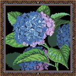 Blue Hydrangea (image for) Blue Hydrangea